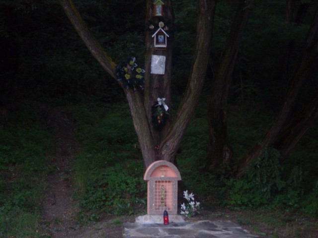 SDC10701