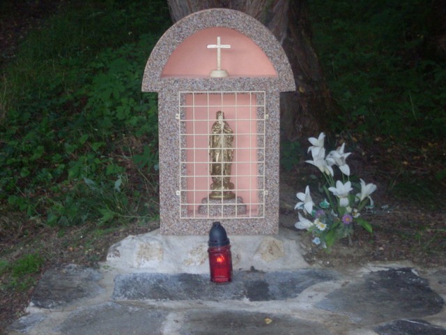 SDC10702