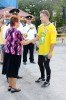 499_elis_